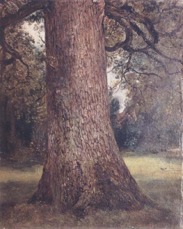 John Constable Study of the trunk of an elm tree